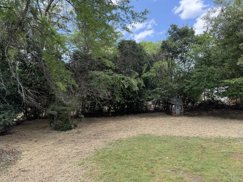 Backyard tree line cut back and cleared after a property cleanup