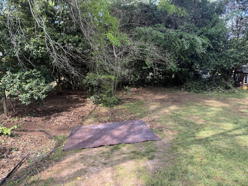 Overgrowth cut back and cleared from a backyard corner