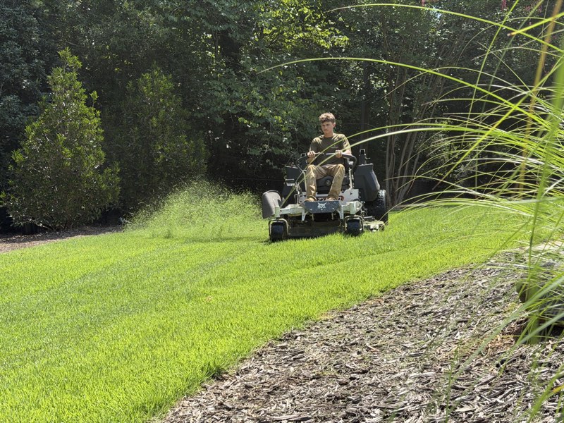 Mowing toward the camera with clippings flying beside a mulch path