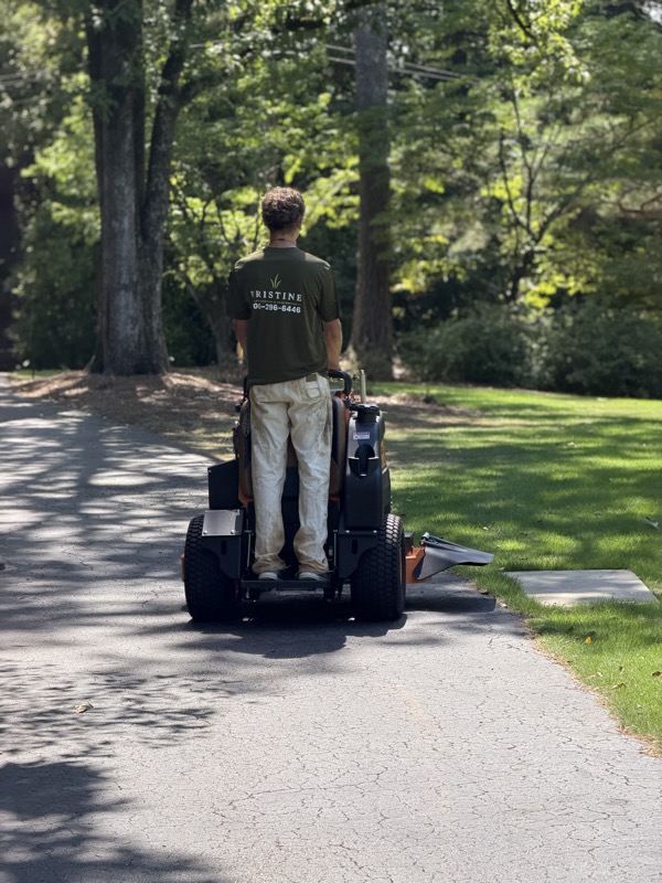 Riding the stand-on mower down a shaded driveway
