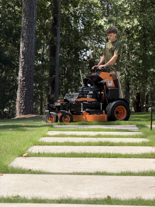 Mowing beside a stepping stone path under tall pines