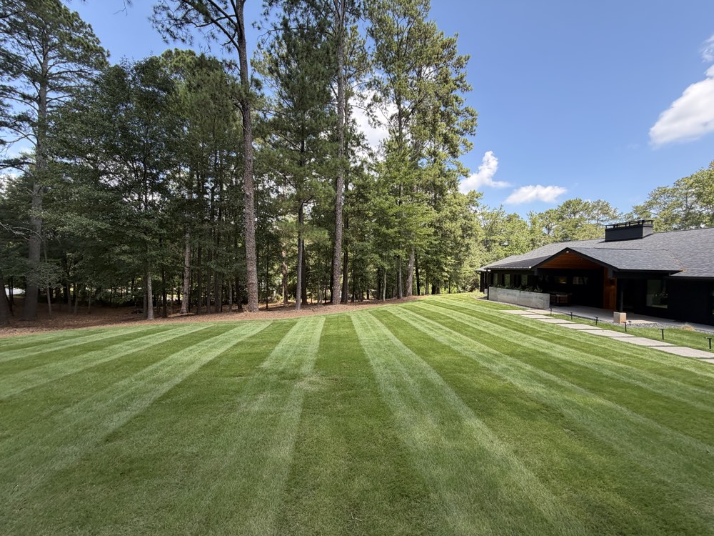Freshly striped lawn running toward tall pines at a modern home in Athens, GA