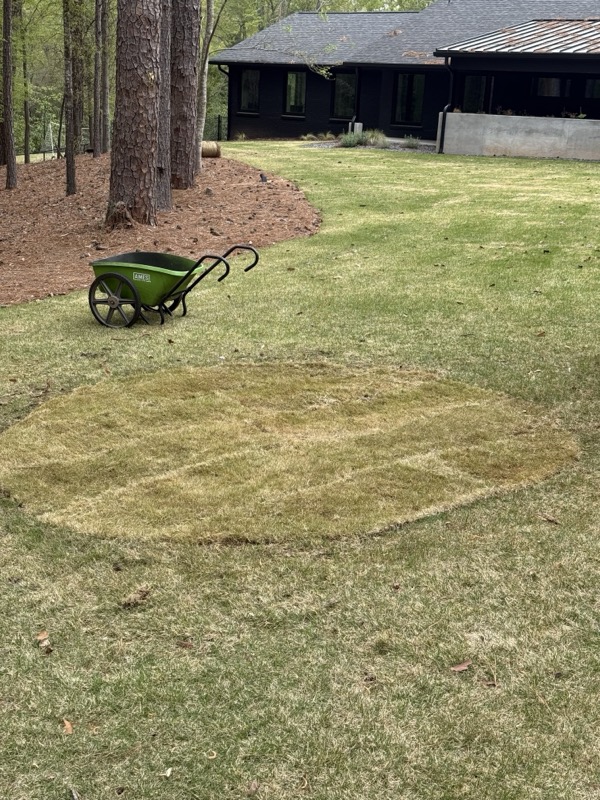 Fresh sod patch laid in a backyard lawn