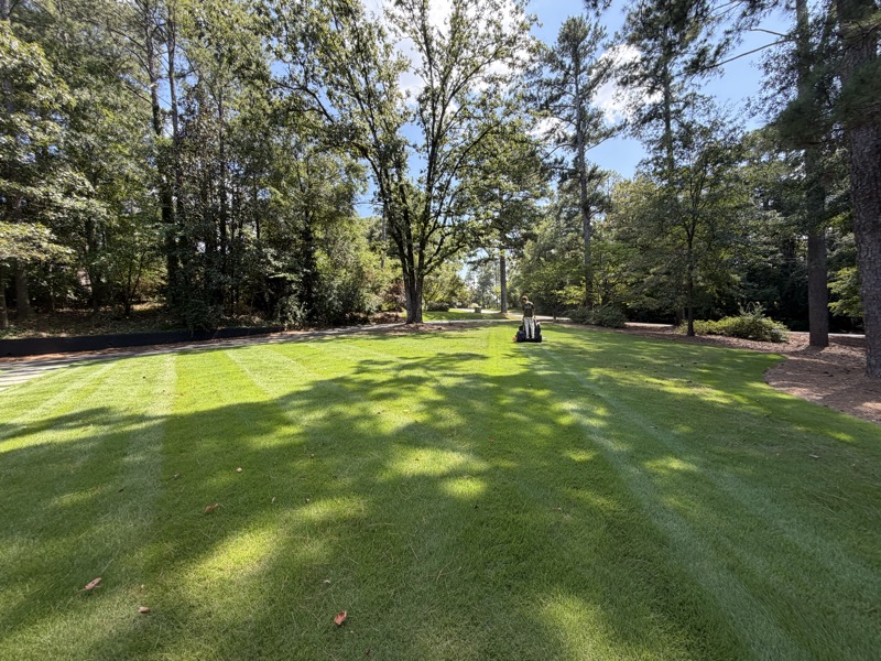 Wide freshly mowed lawn under oaks and pines