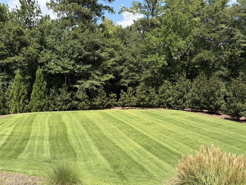 Striped lawn framed by ornamental grasses
