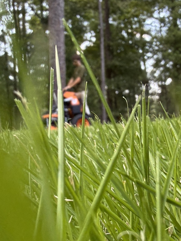 Grass blades up close with the mower at work behind